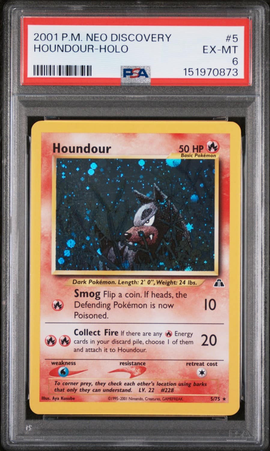 Houndour
