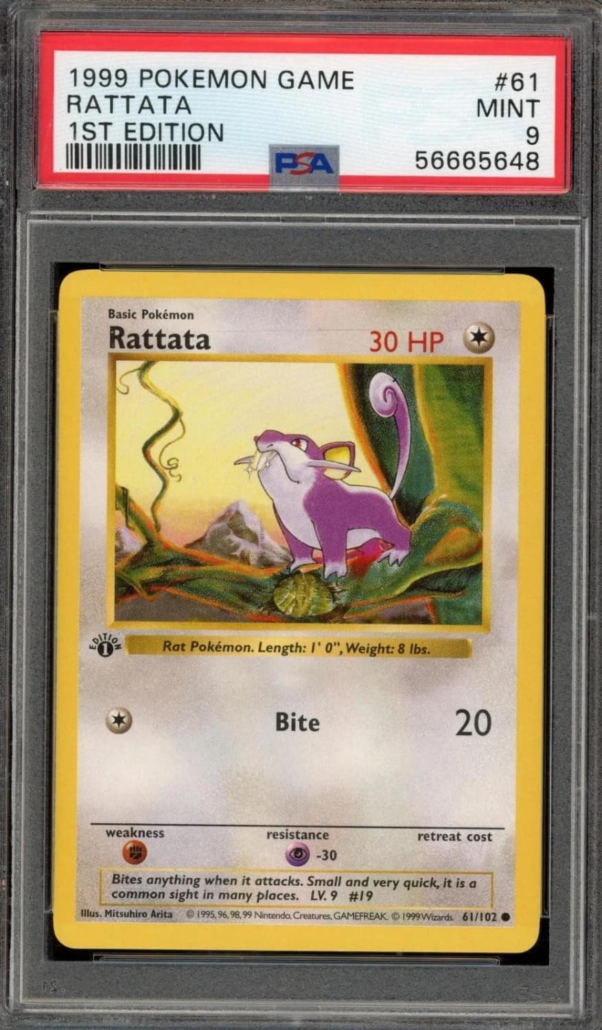 Rattata