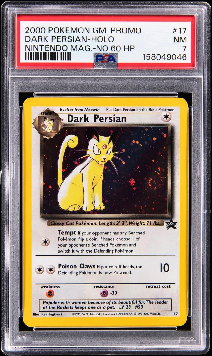 Dark Persian