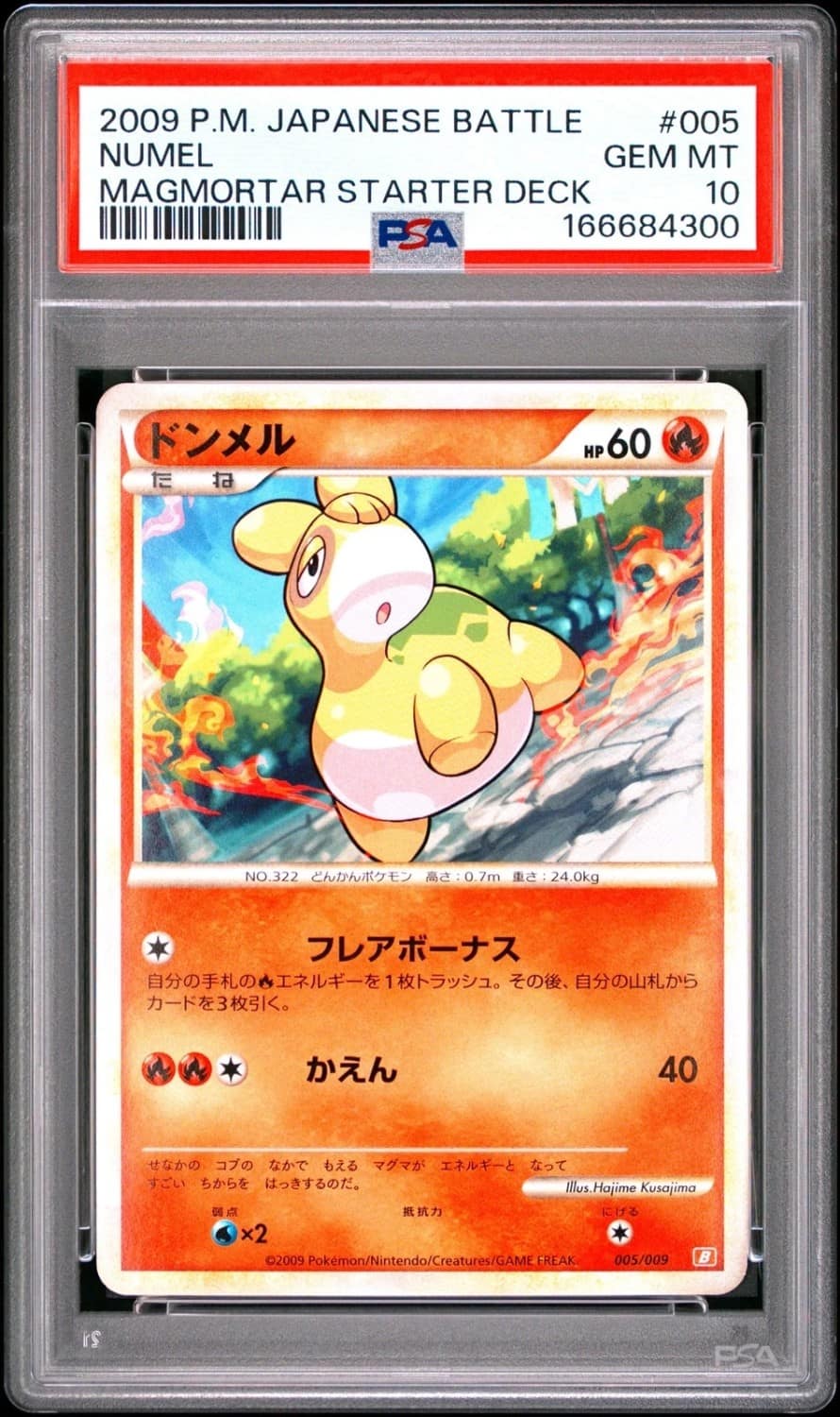 Numel