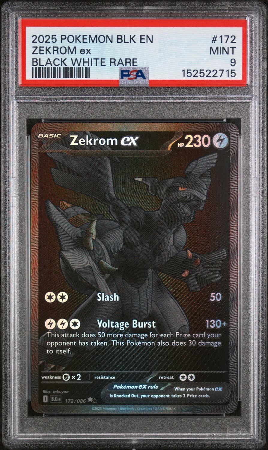Zekrom Ex