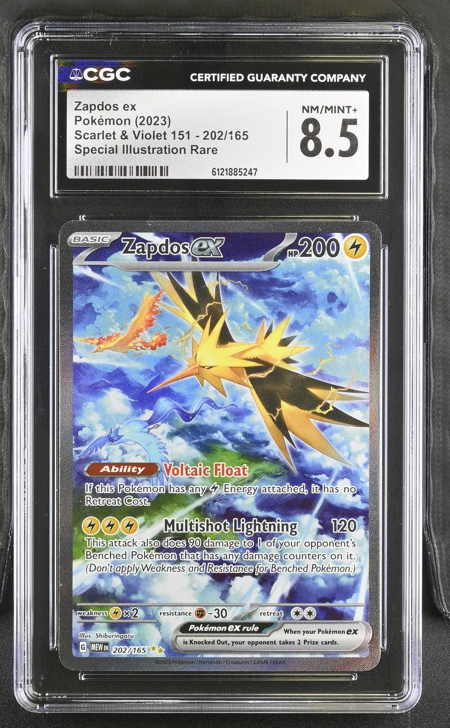 Zapdos Ex
