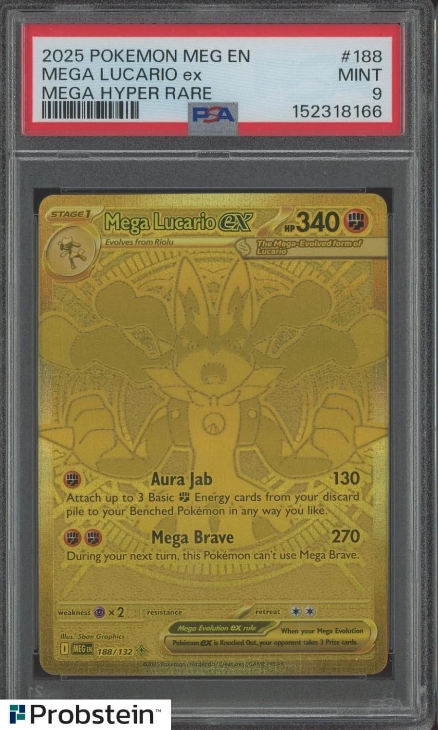 Mega Lucario Ex