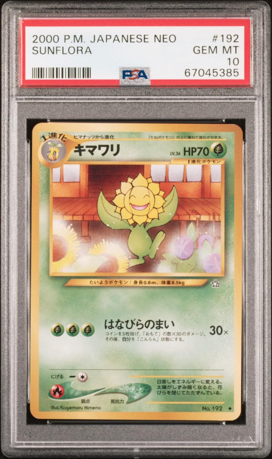 Sunflora