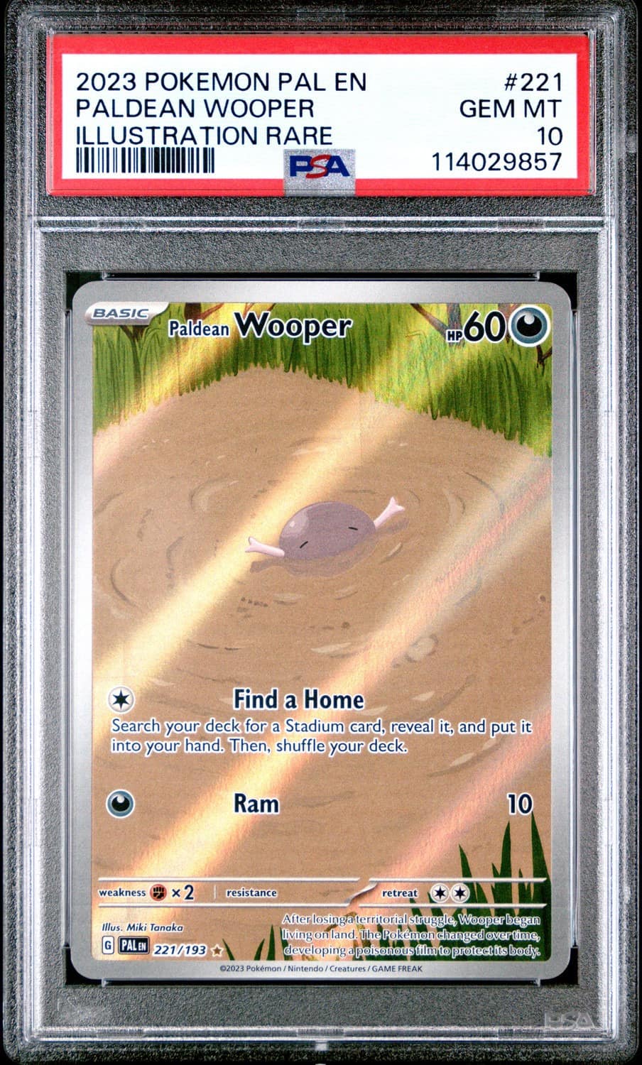 Paldean Wooper