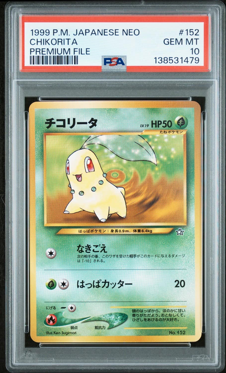 Chikorita