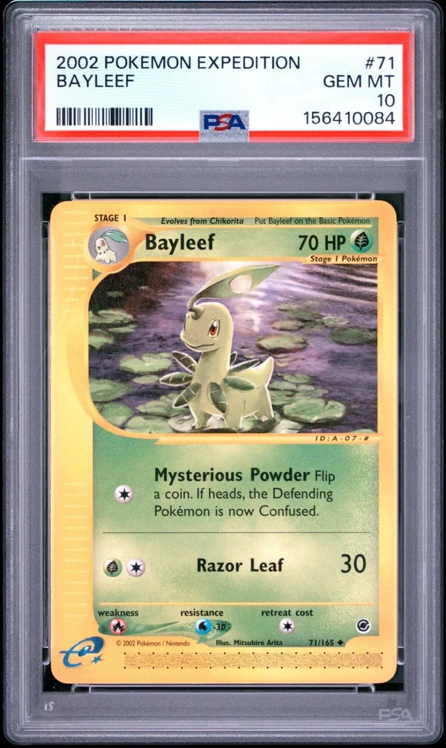 Bayleef