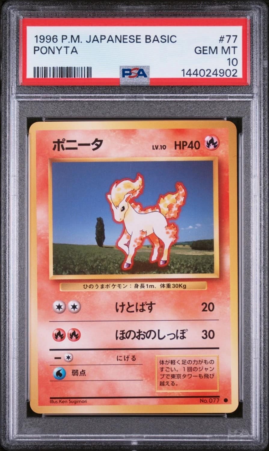 Ponyta