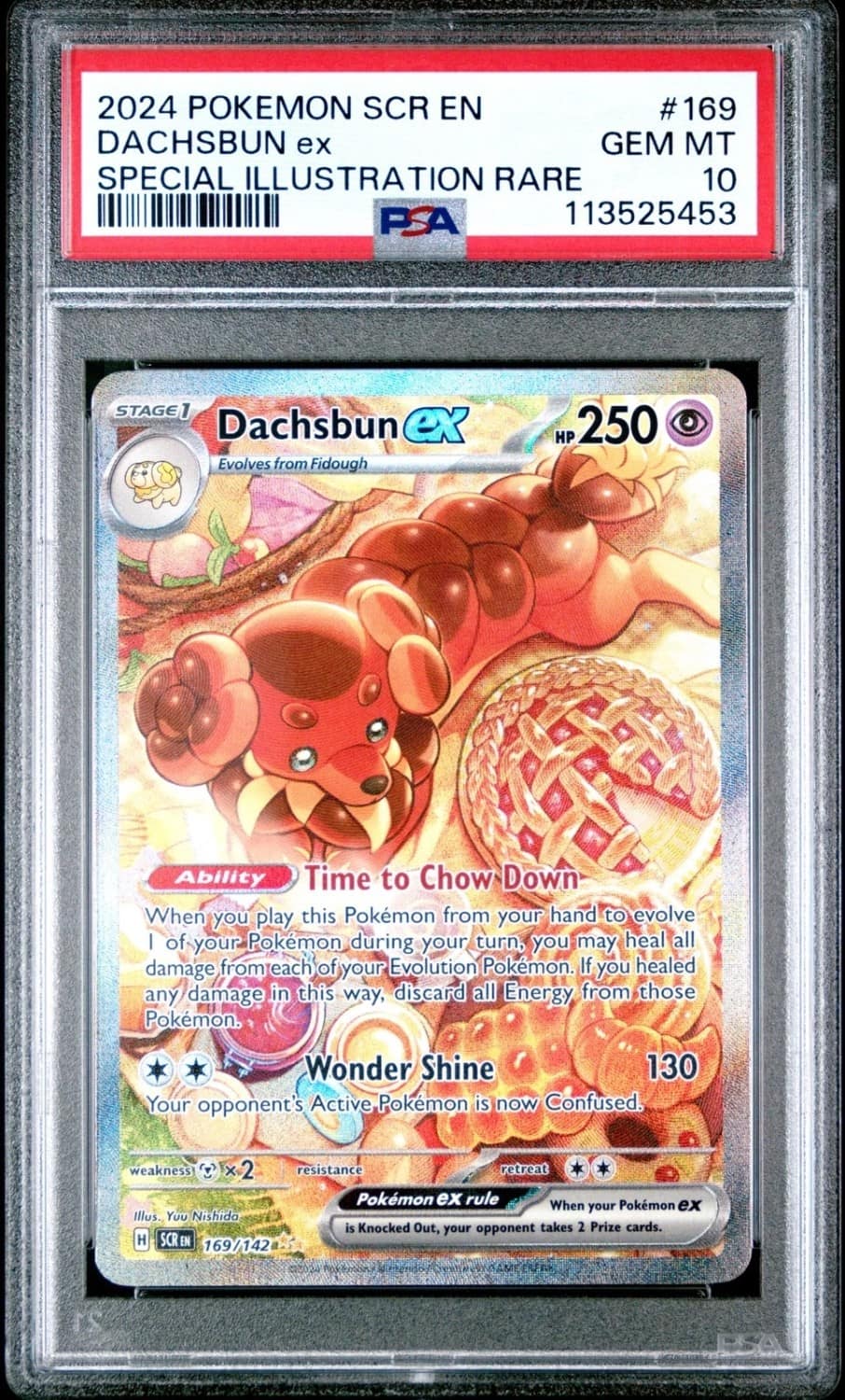 Dachsbun Ex