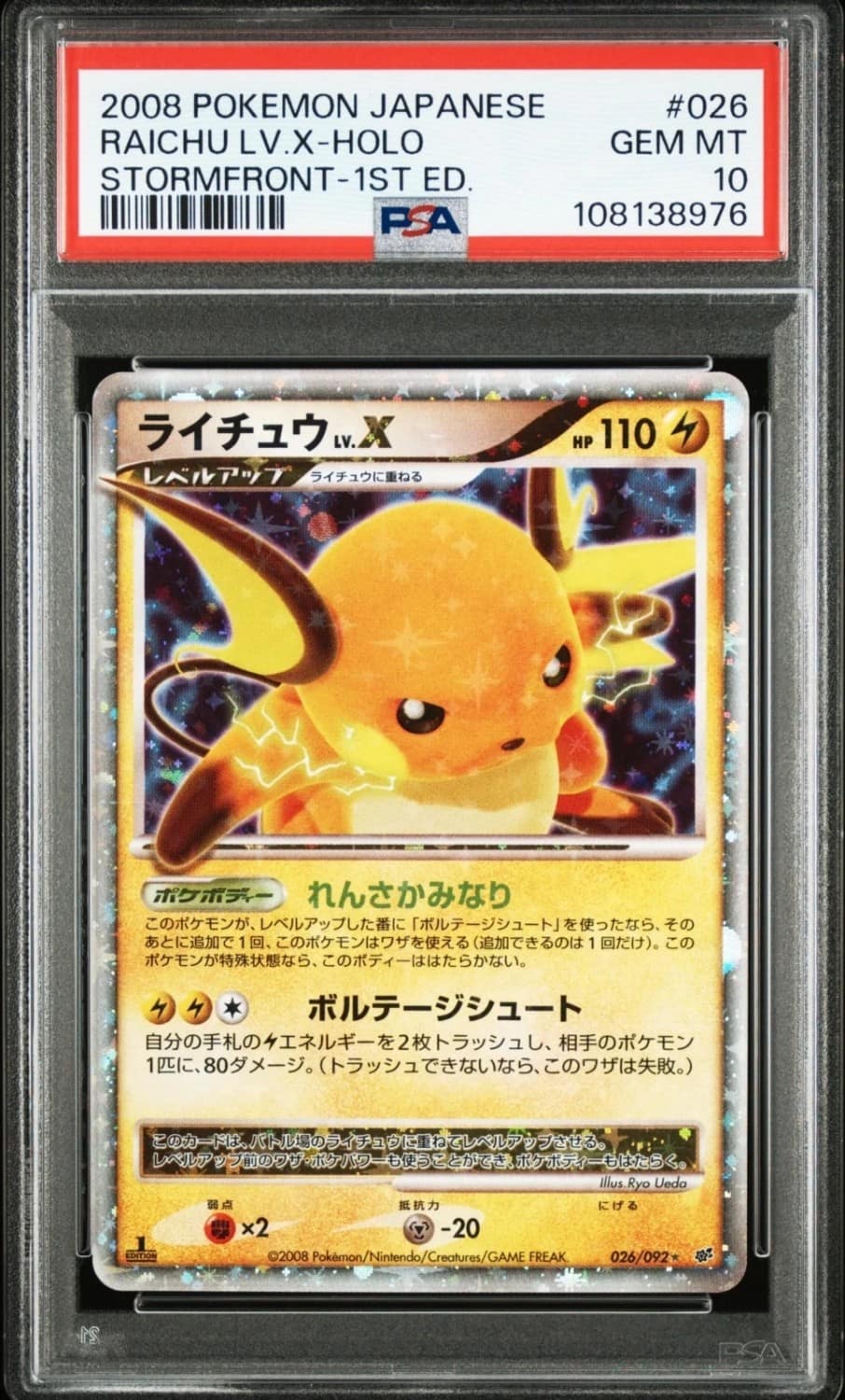 Raichu Lv.x