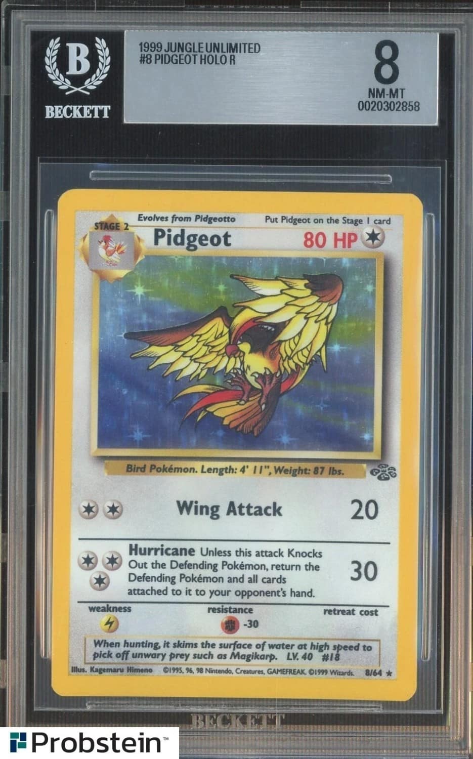 Pidgeot