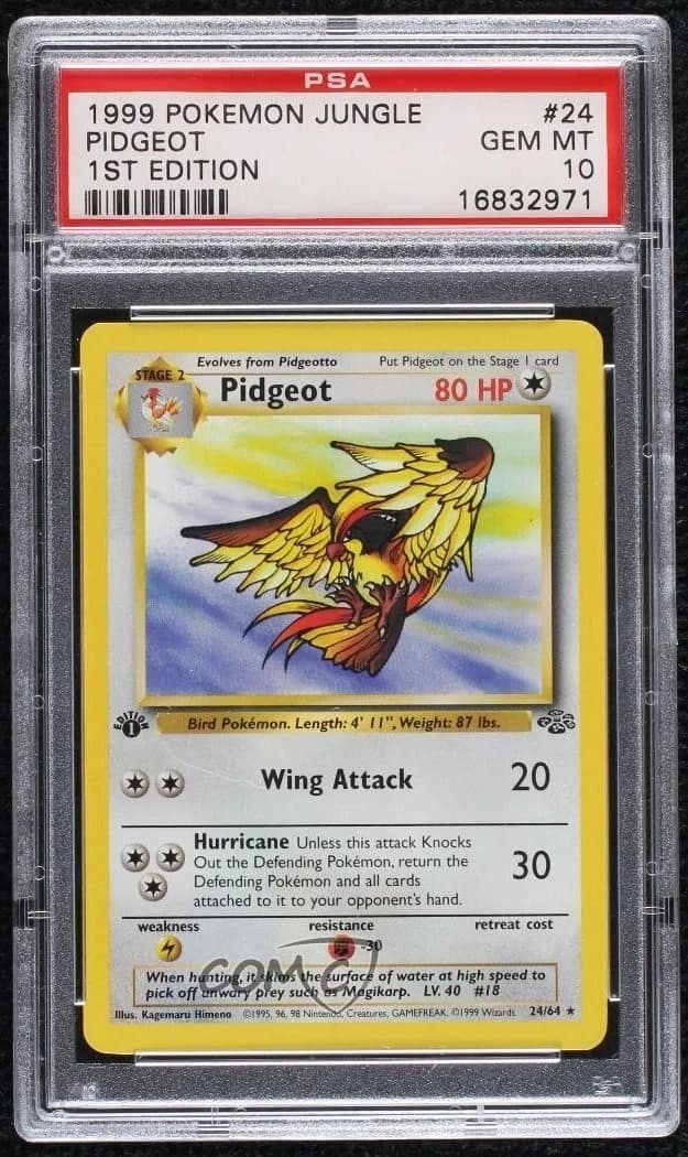 Pidgeot