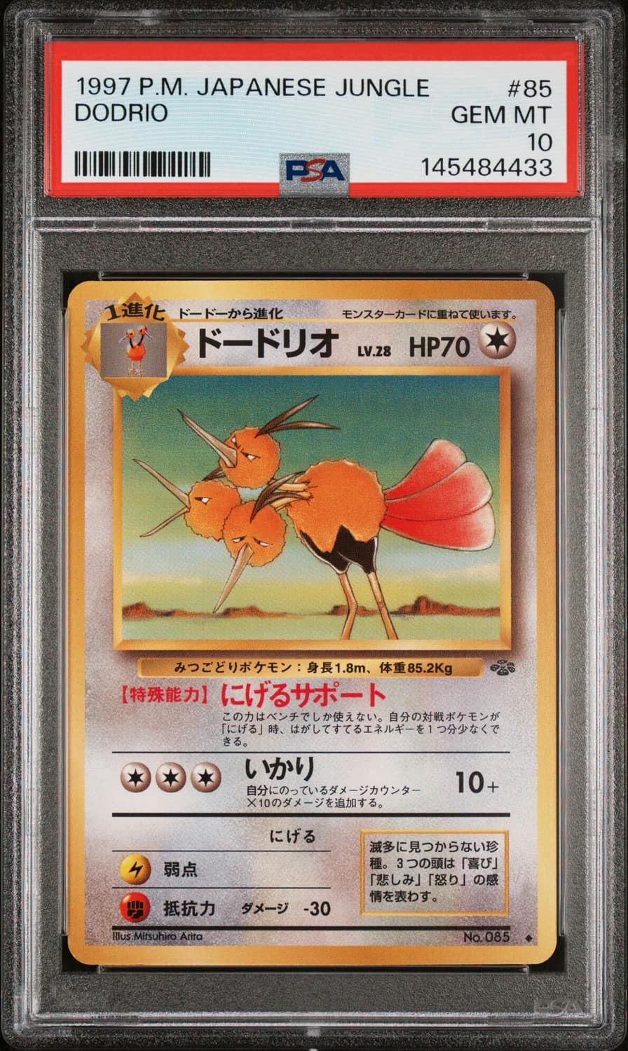 Dodrio