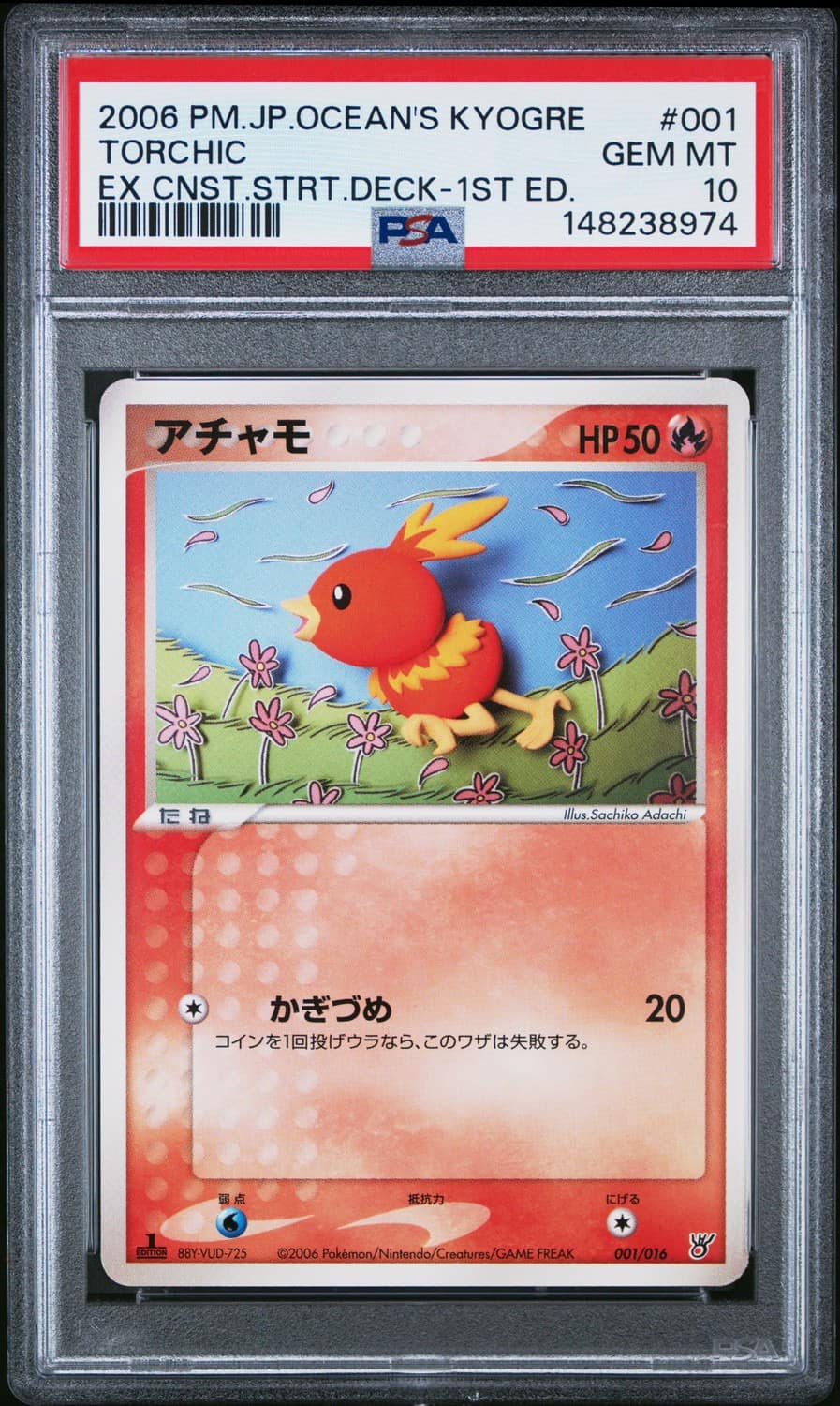 Torchic