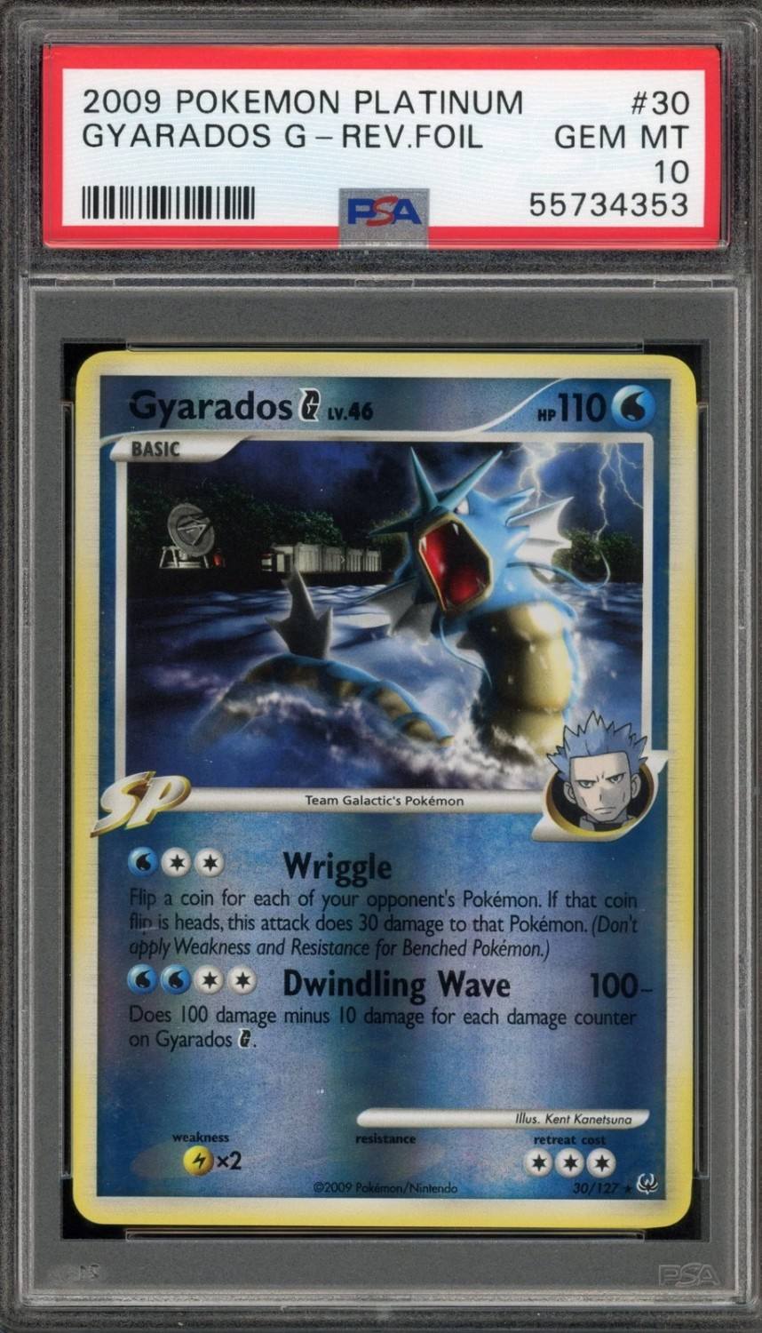 Gyarados G