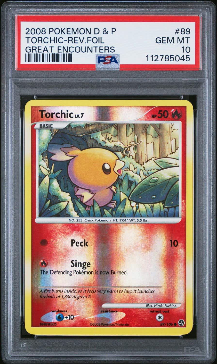 Torchic