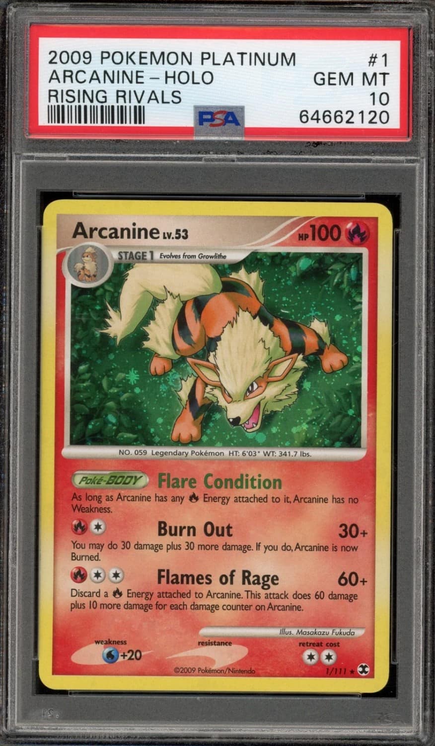 Arcanine
