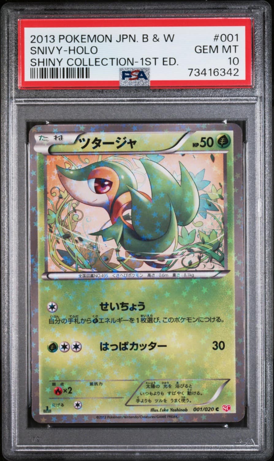 Snivy