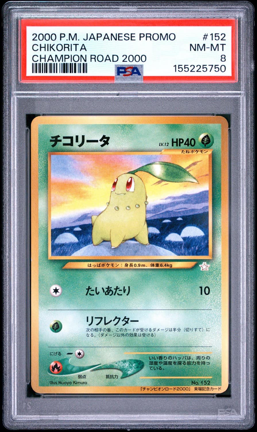 Chikorita