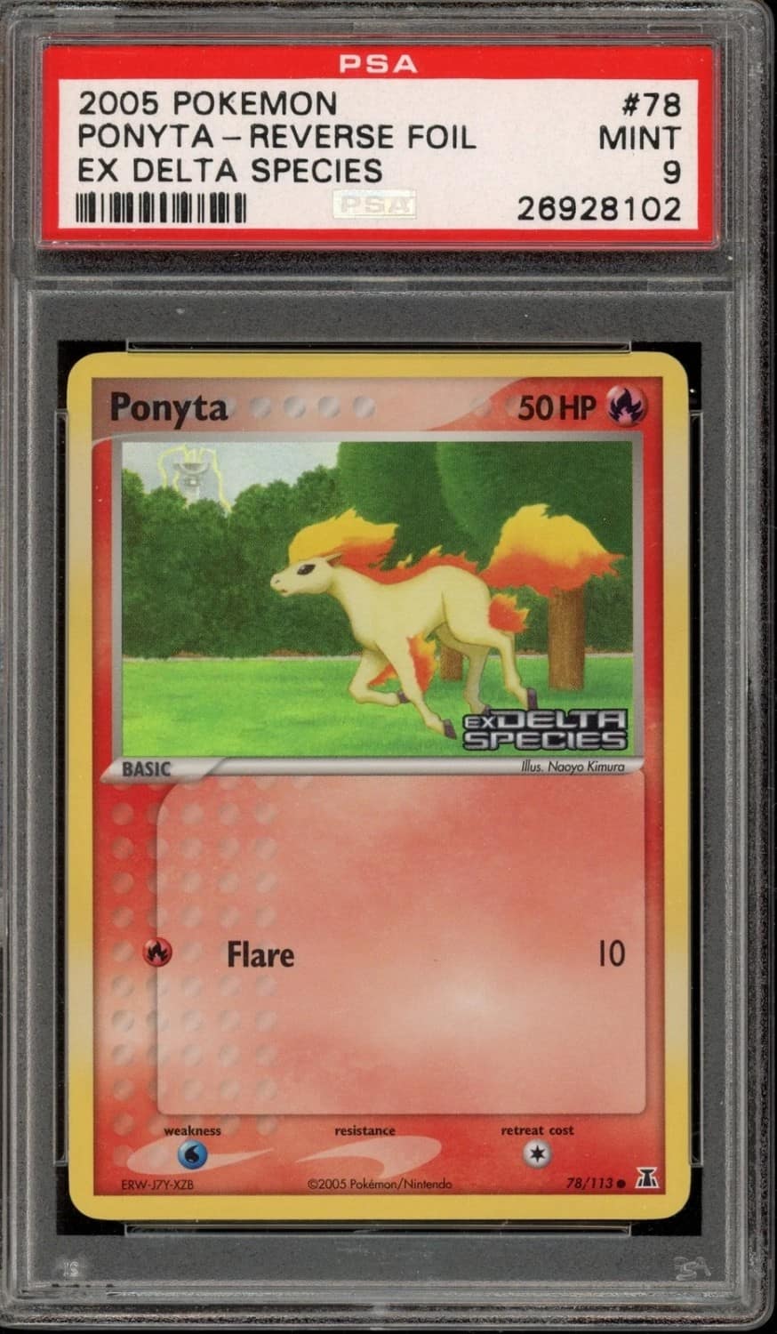 Ponyta