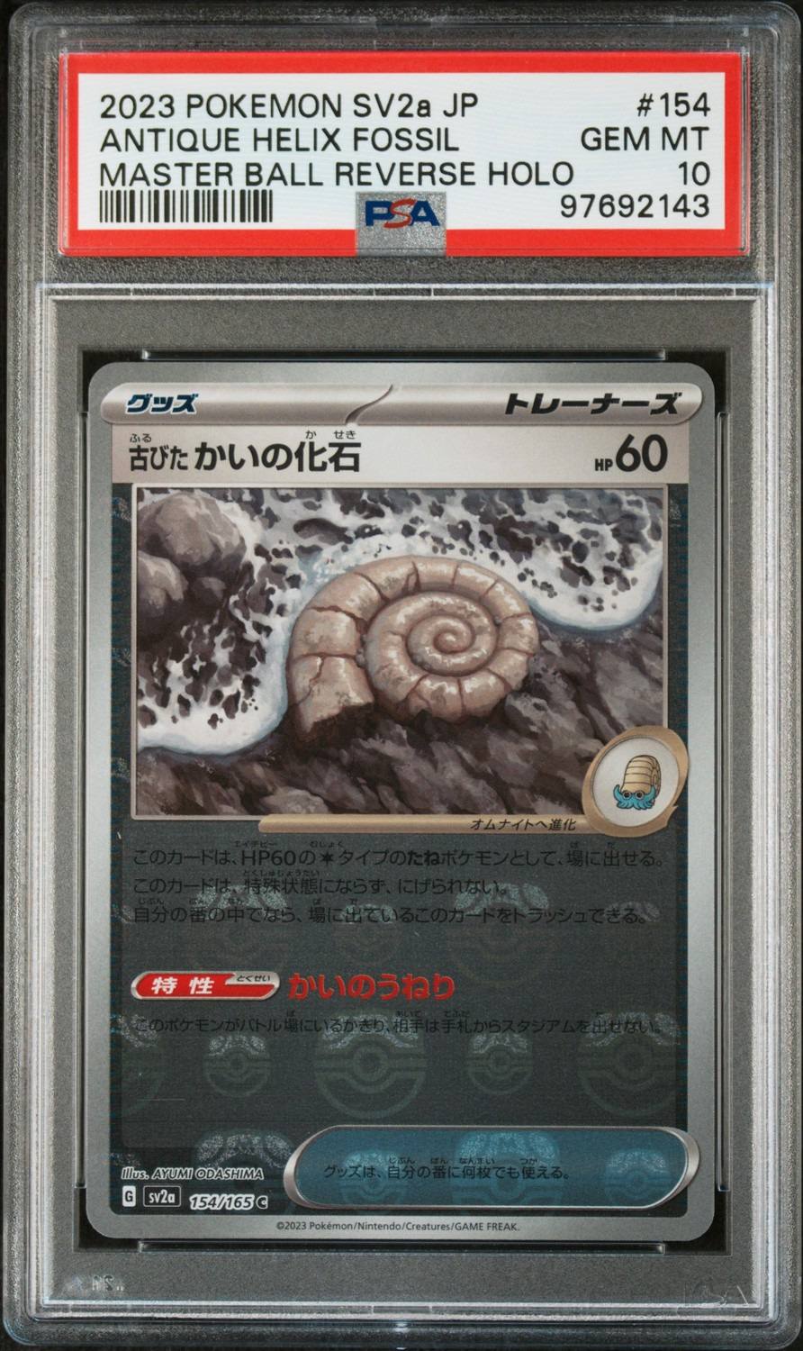 Antique Helix Fossil