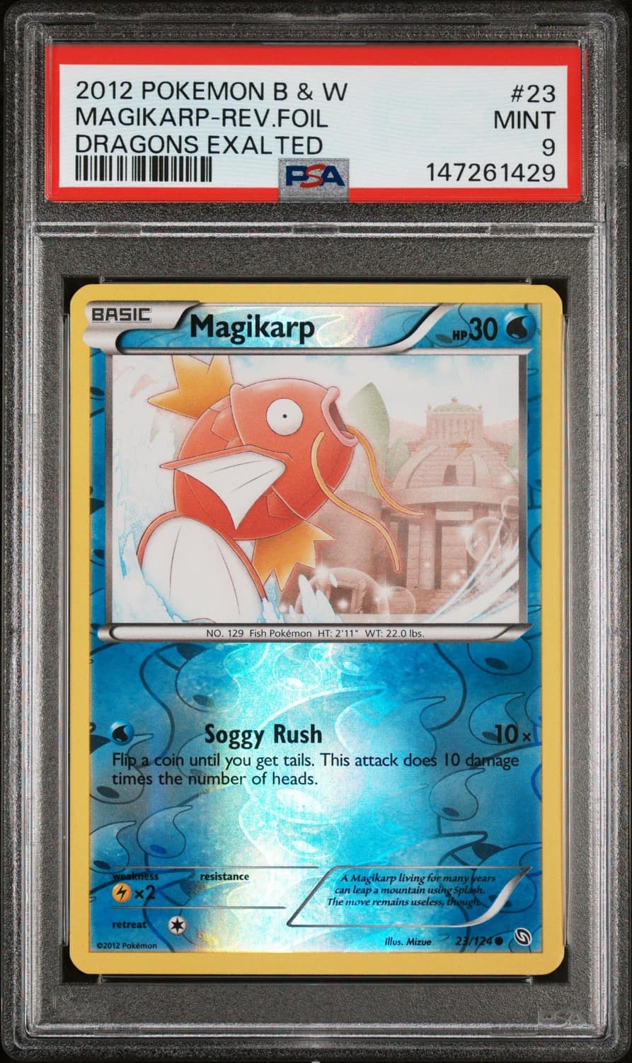 Magikarp