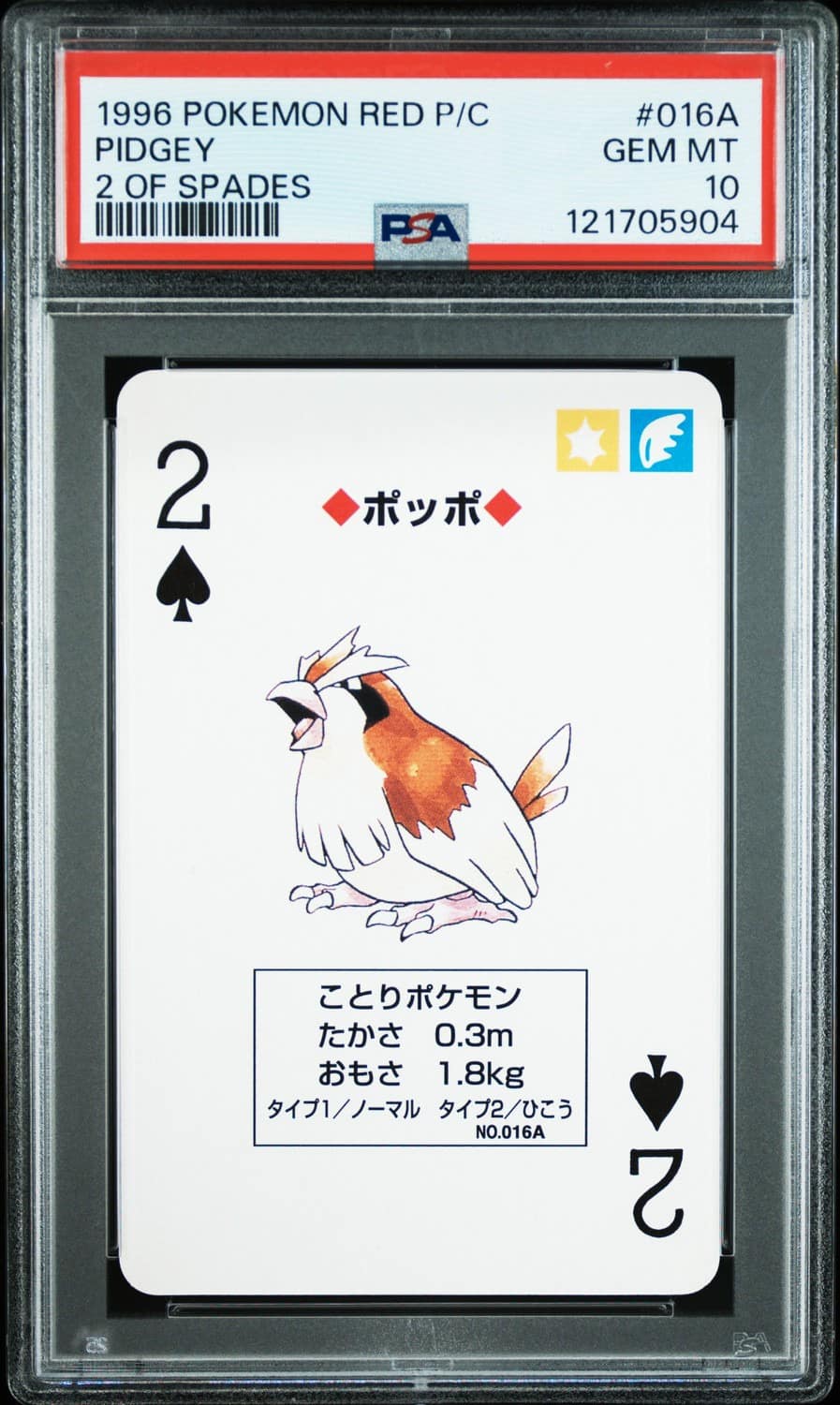 Pidgey
