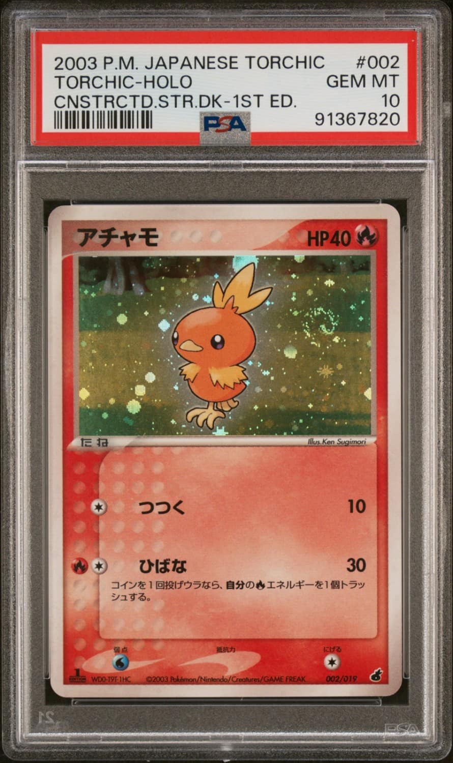 Torchic