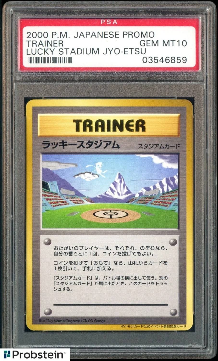 Trainer/lucky Stadium