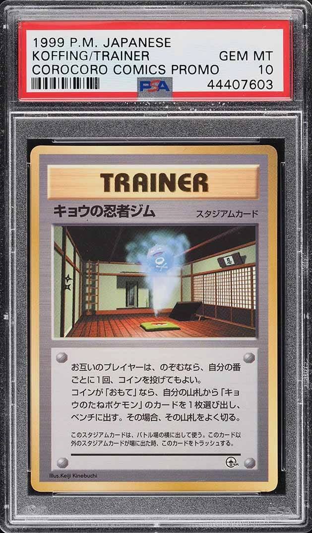 Koga'S Ninja Gym