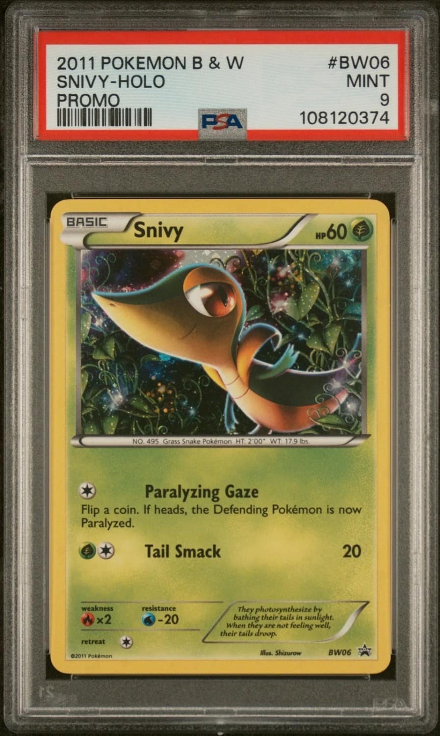 Snivy