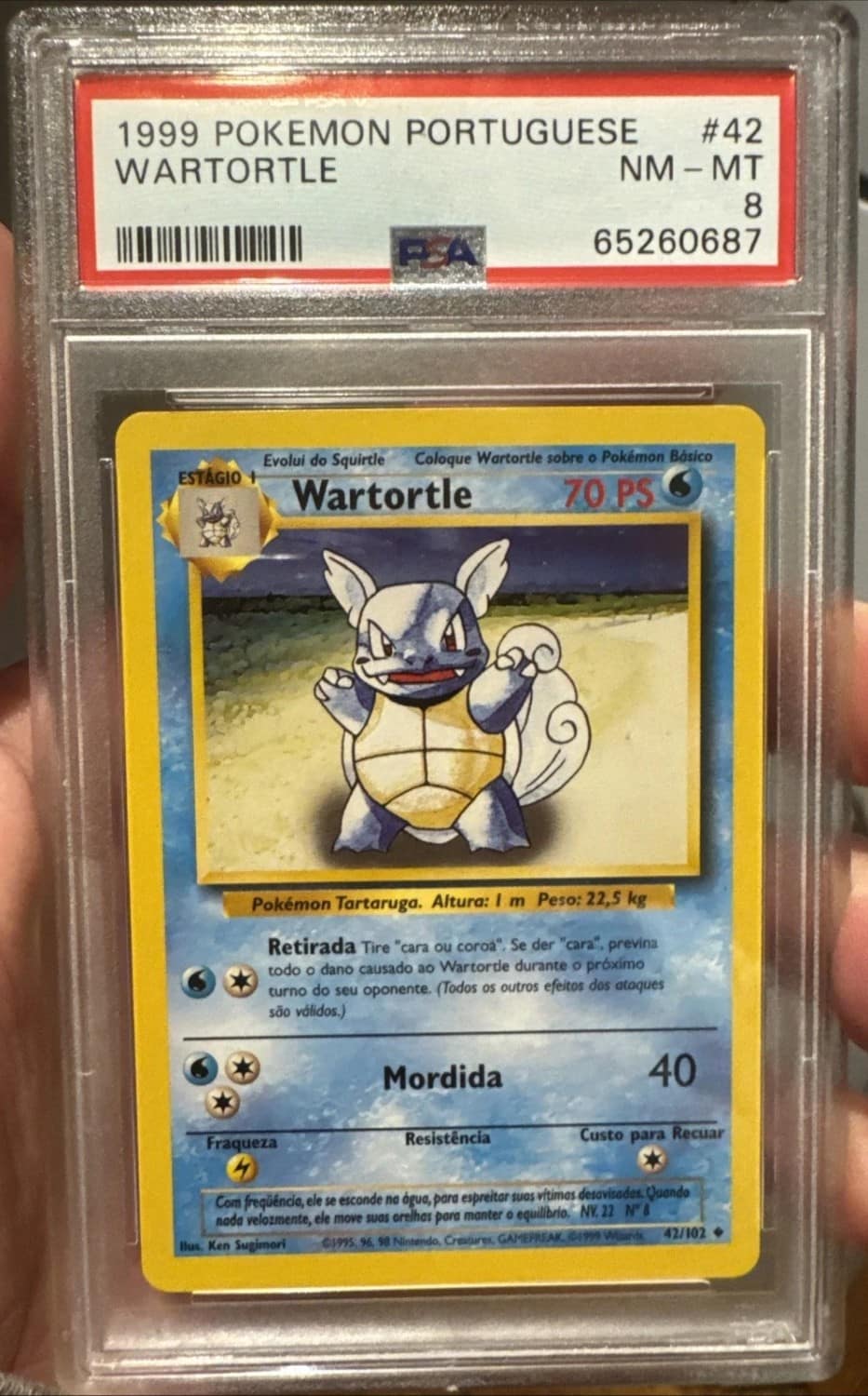 Wartortle