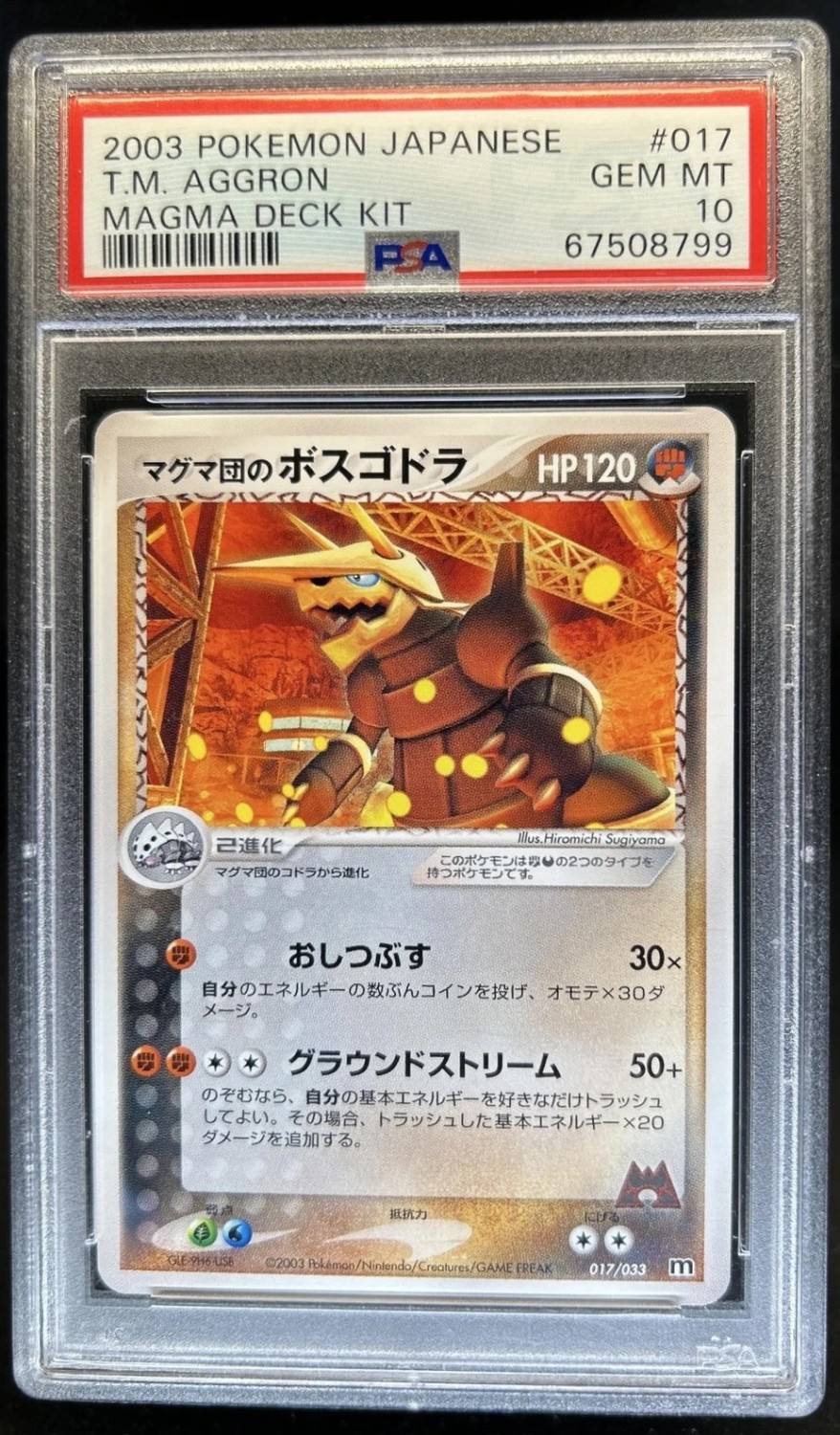 Team Magma'S Aggron