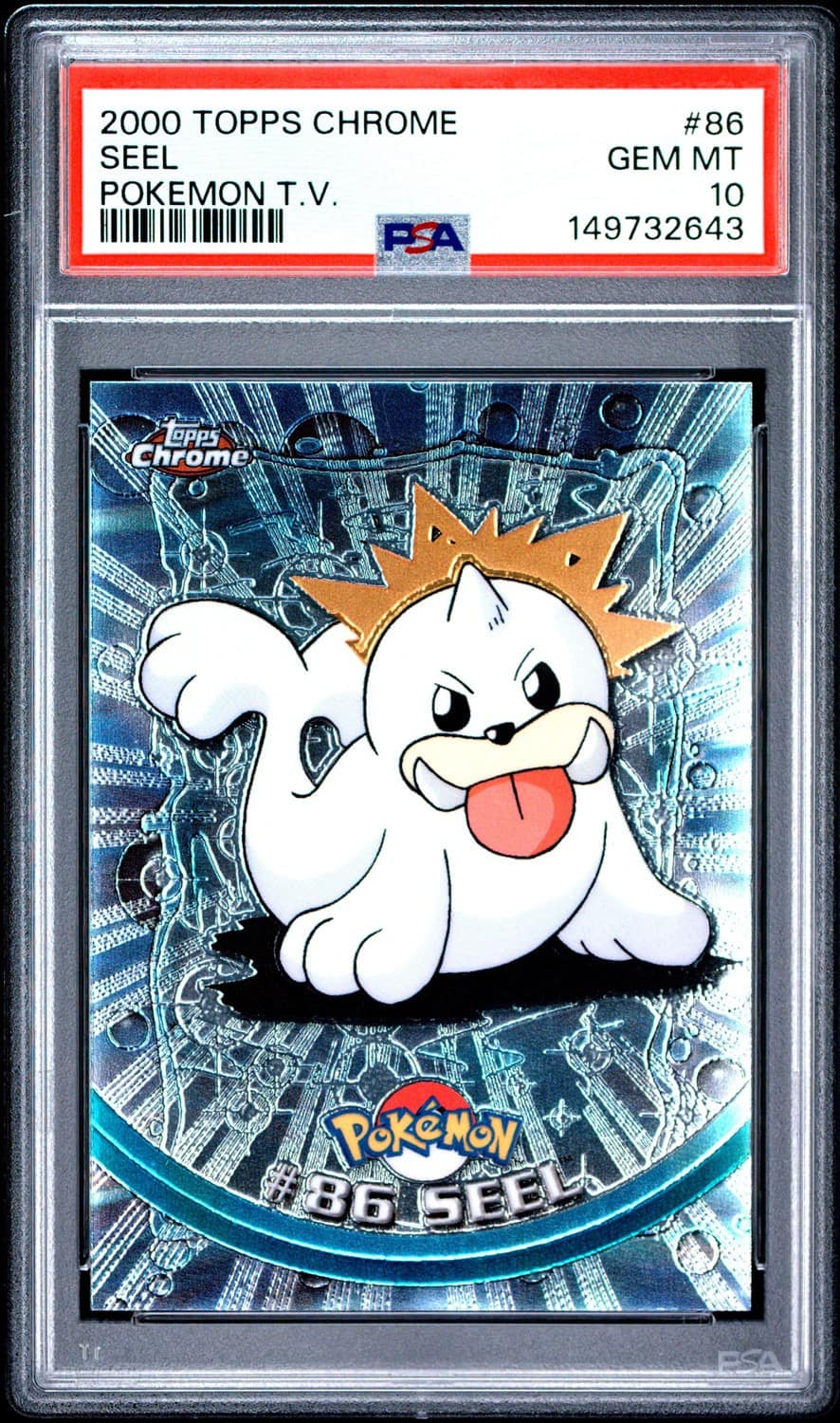 Seel
