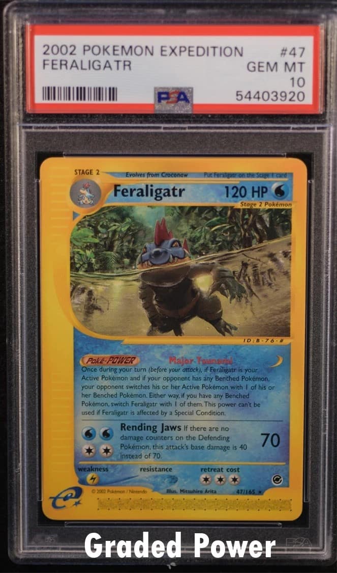 Feraligatr-Rev.foil