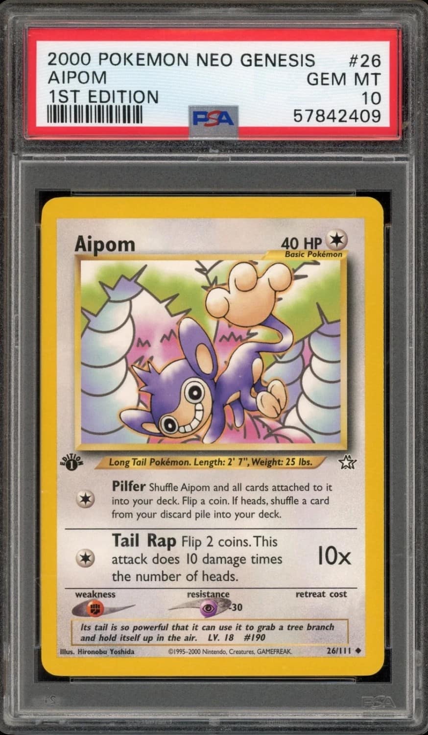 Aipom