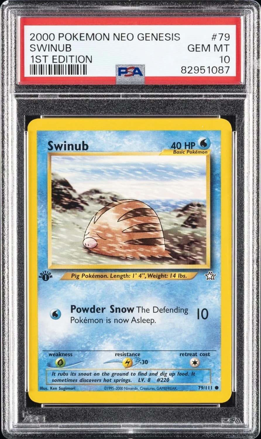 Swinub