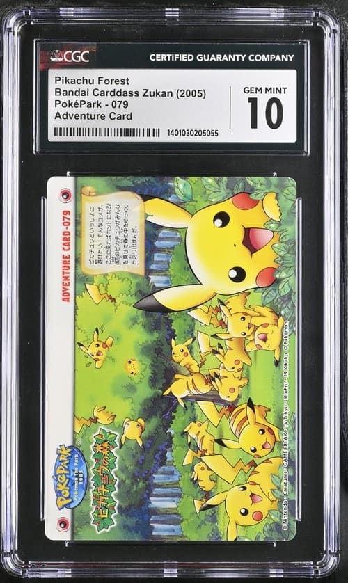 Pikachu Forest