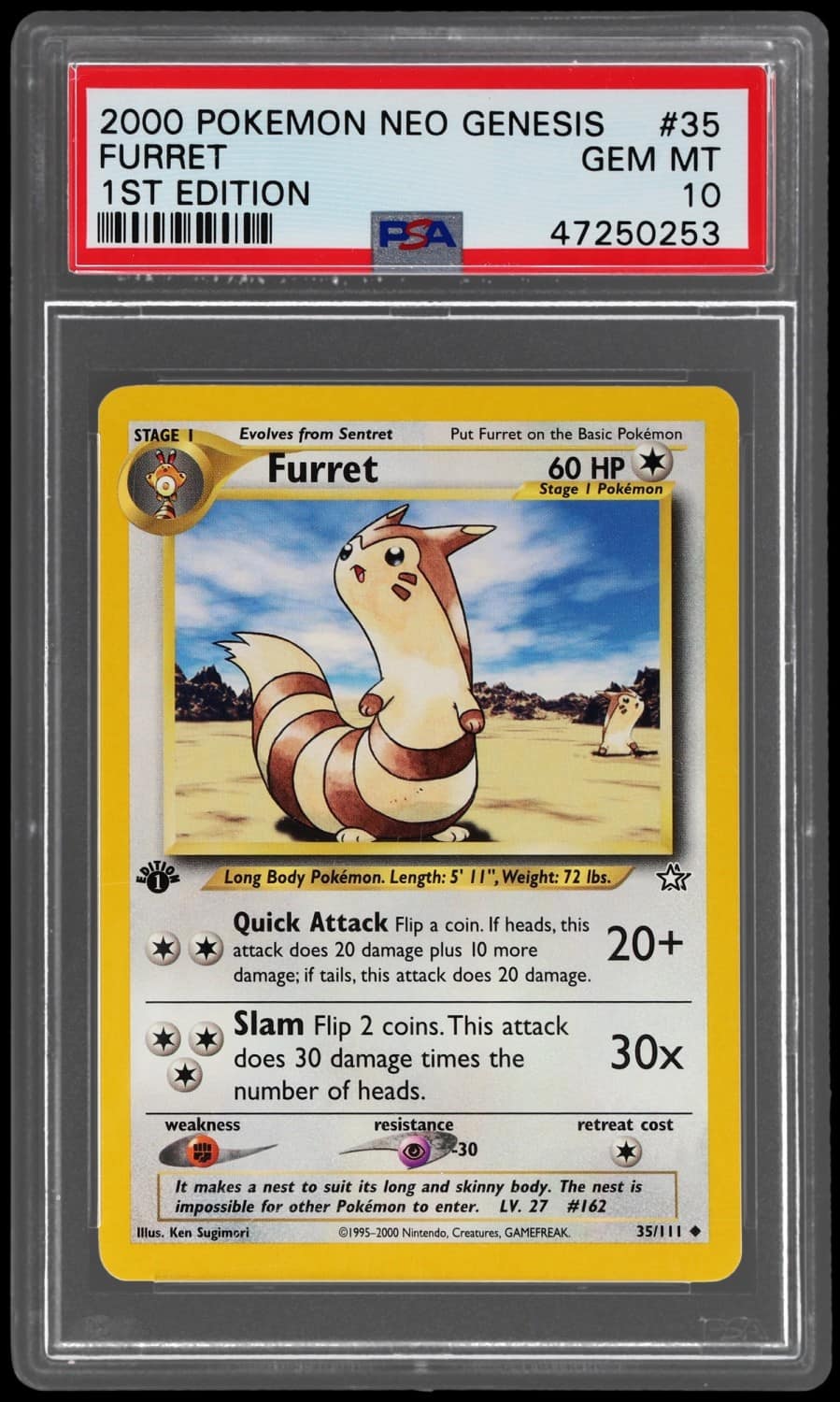 Furret