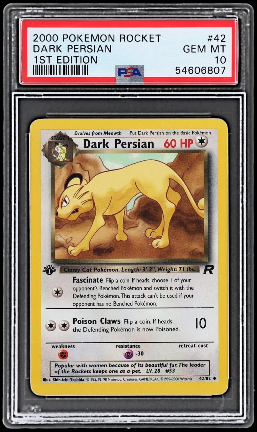 Dark Persian