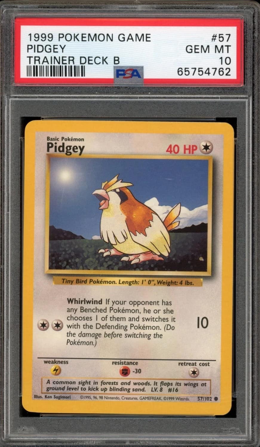 Pidgey