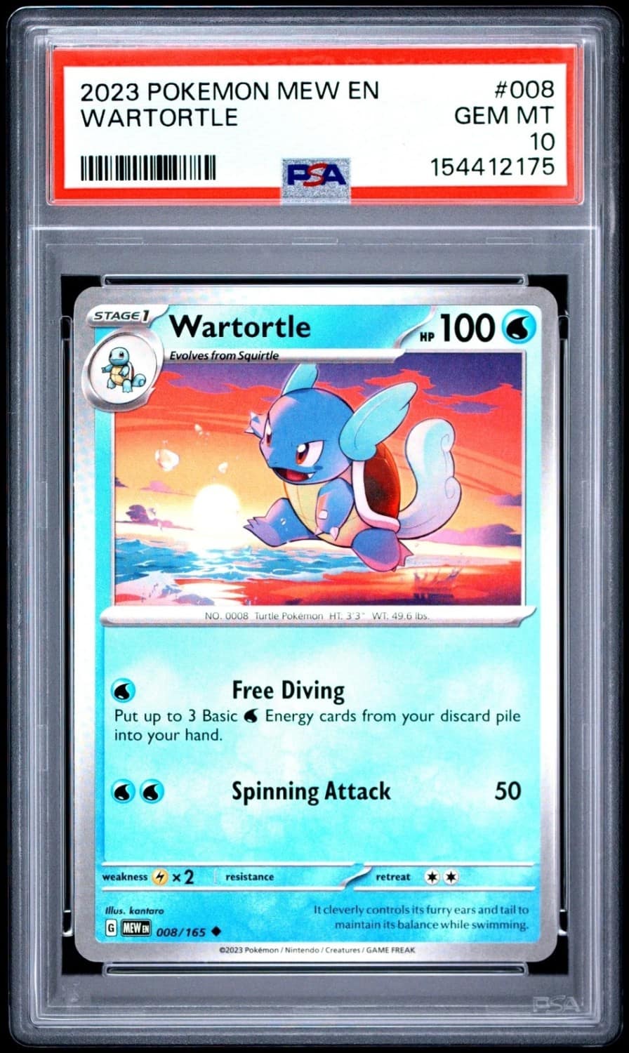 Wartortle