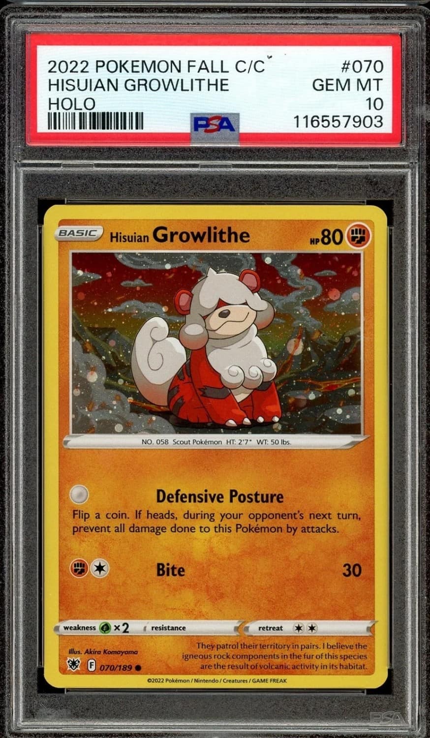 Hisuian Growlithe