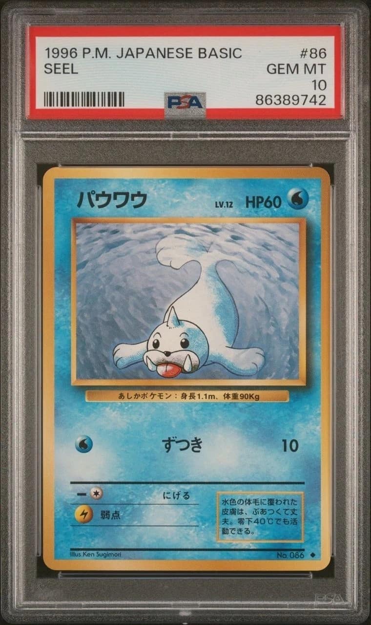 Seel
