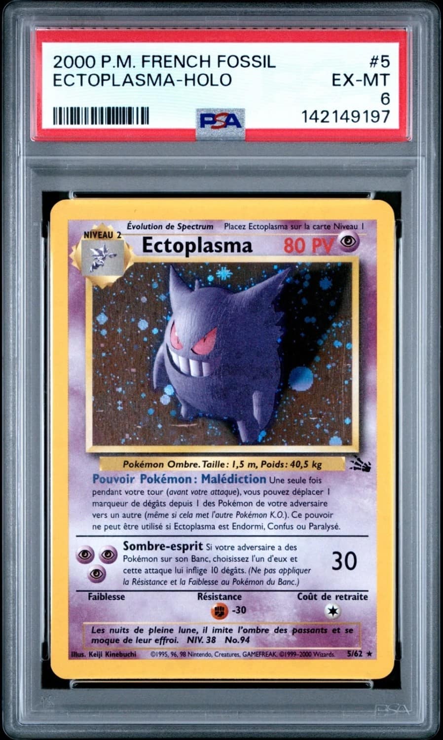 Ectoplasma