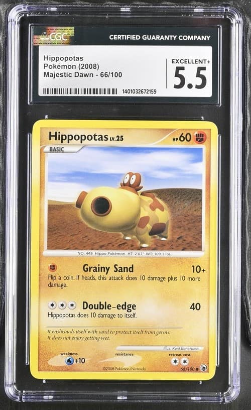 Hippopotas