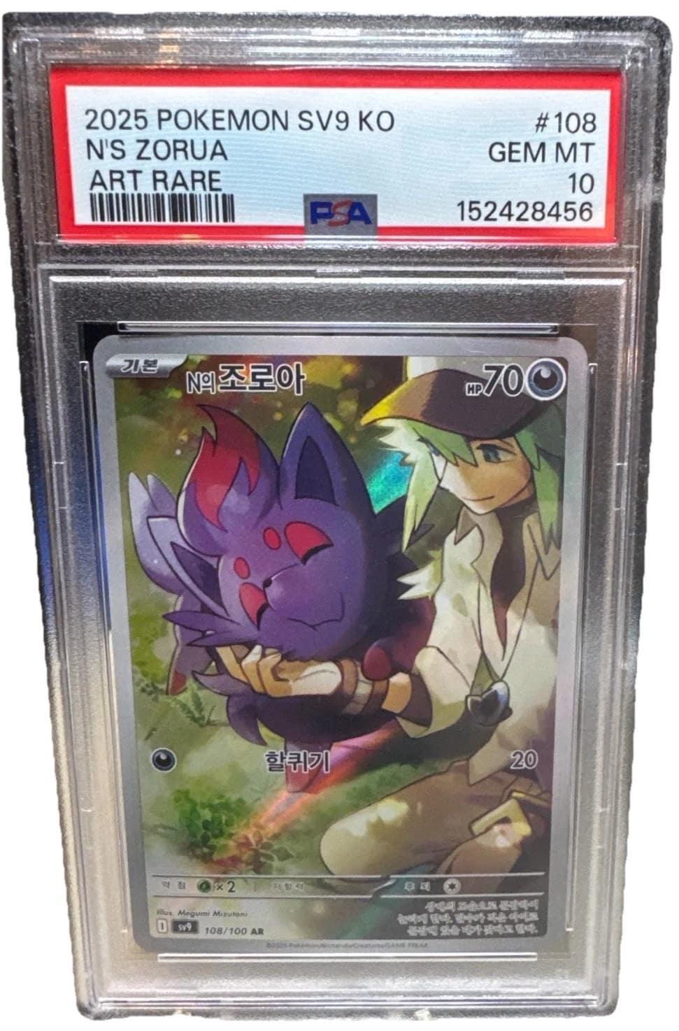 N'S Zorua