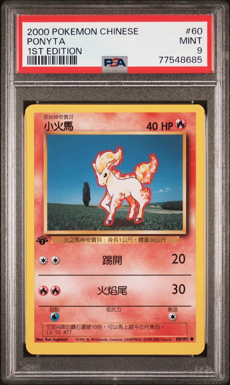 Ponyta