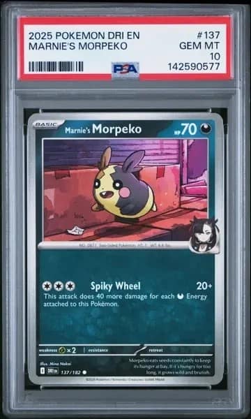 Marnie'S Morpeko