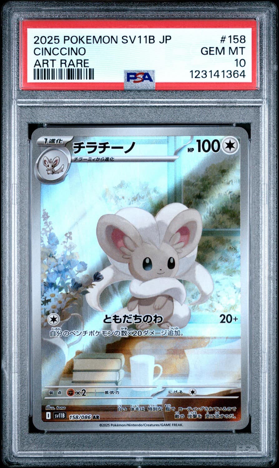 Cinccino
